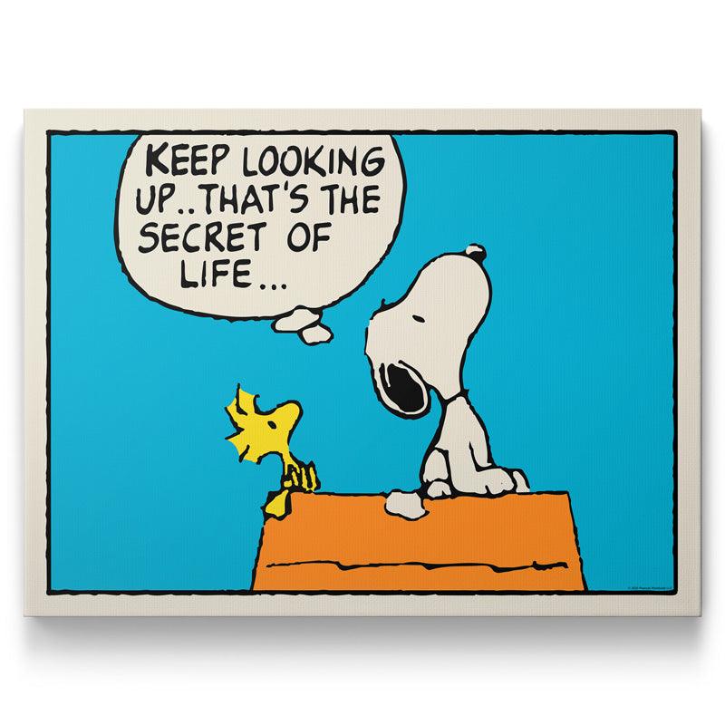 Peanuts Keep Looking Up - Sans cadre