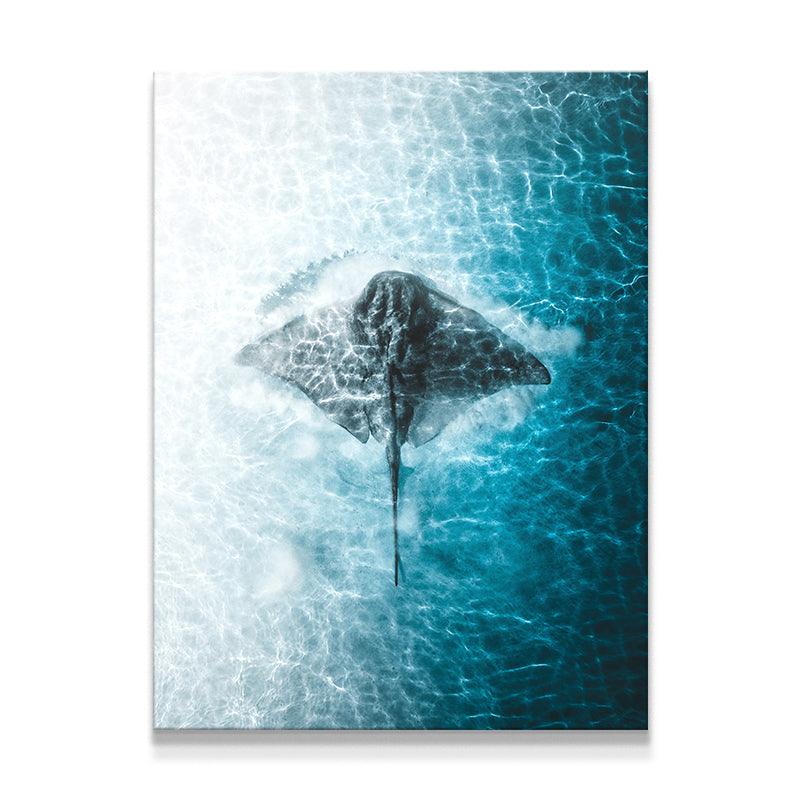 Ray Of The Day - Sans cadre