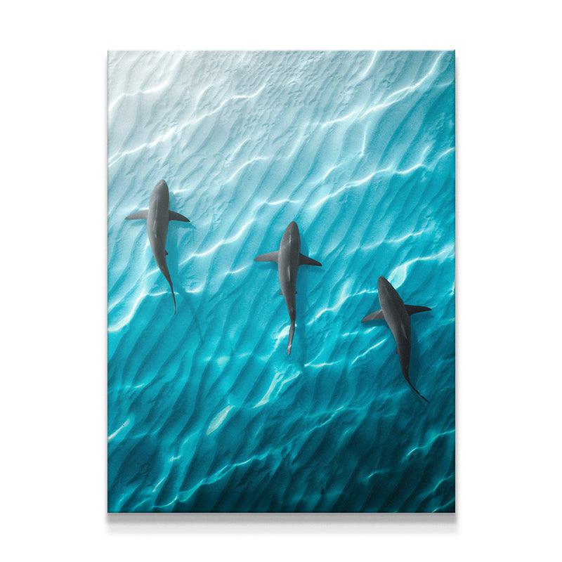 Shark Angle - Sans cadre