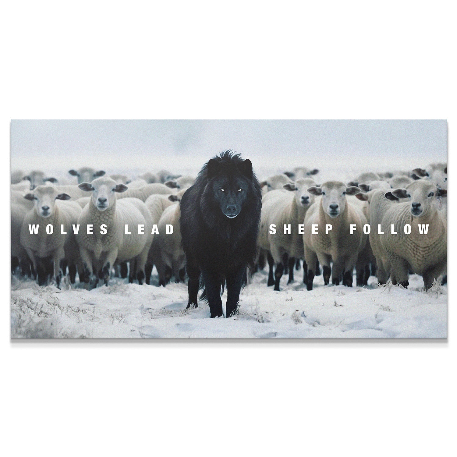 Wolves Lead Sheep Follow - Sans cadre